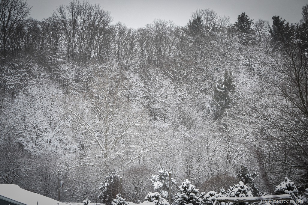 [winter%2520scene%2520%25281%2520of%25201%2529-27%255B3%255D.jpg]