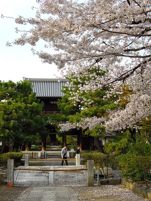 京都建仁寺 