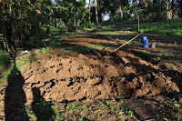 pinoyecofarm december _0123.JPG