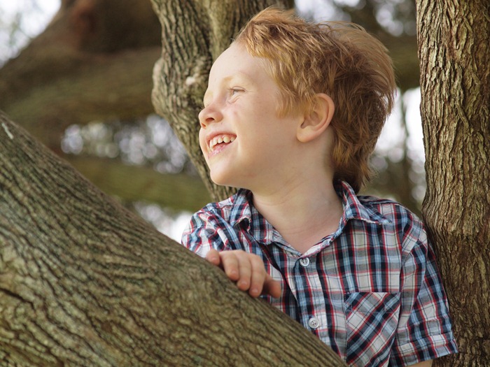 at the top of the tree