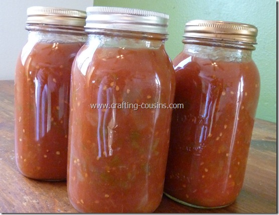 Crafty Cousins home canned garden salsa (7)