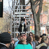IMG_0004.JPG