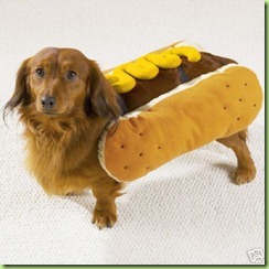 medium-dachshund-bichon-scottie-hot-dog-costume-clothes-cd541_JPG