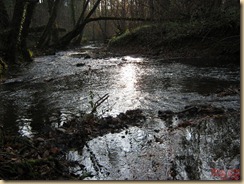 IMG_0011