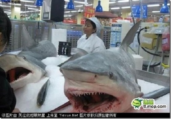 china-mean-while-b4e0ae