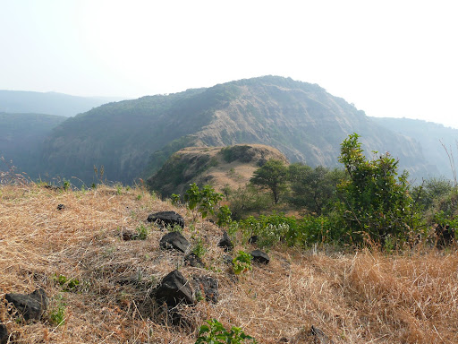 Jungli Jaigad