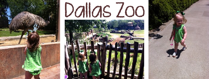 Dallas Zoo Collage