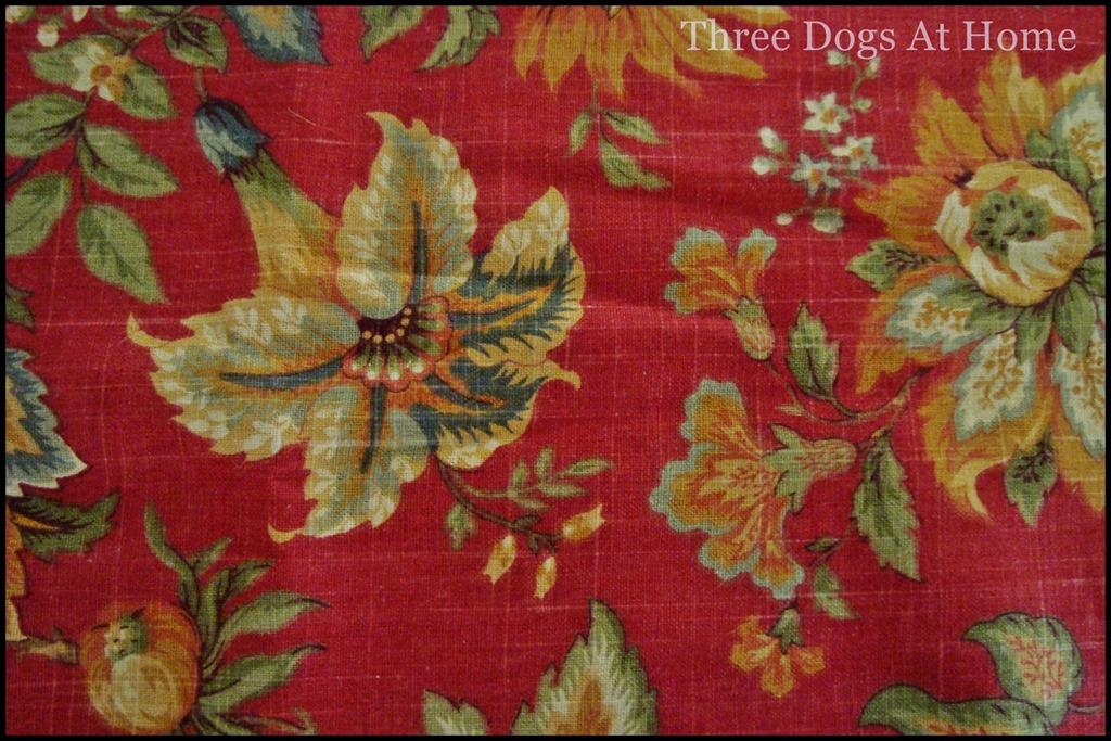 [house-pics-0437.jpg]