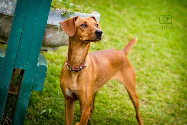 [Suzan%255B2%255D.jpg]