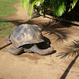 Australian Zoo