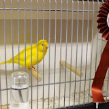IMG_5334.jpg