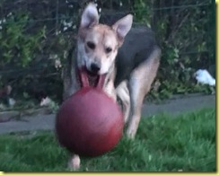 ball4