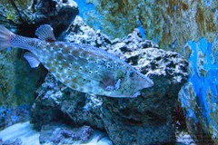 IMG_3026 IMG_3026