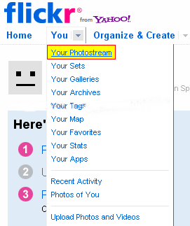 [flickr%2520photostream%2520blogger%252002%255B4%255D.png]