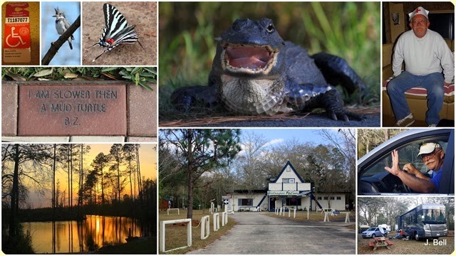 71 Okefenokee NWR 2012-13