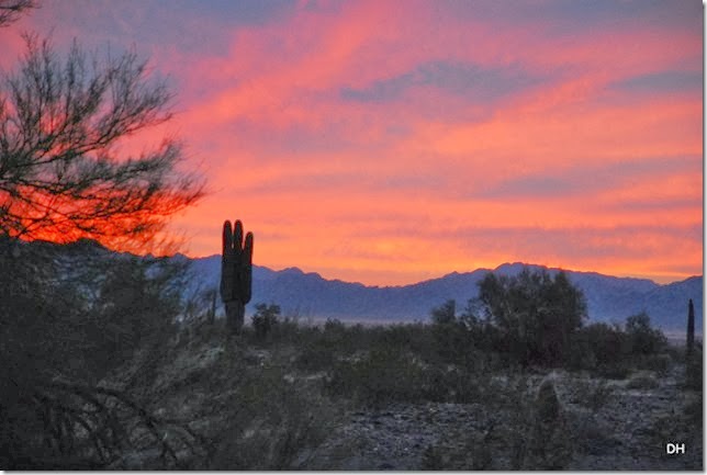 01-19-14 B Quartzsite (13)