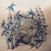 Shar Pei