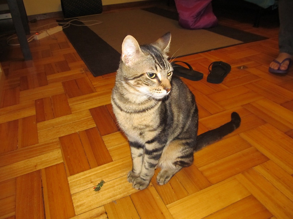 [IMG_2241%255B3%255D.jpg]