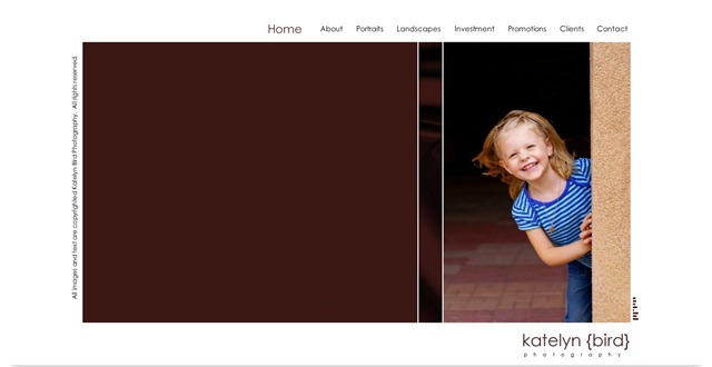 website screen shot