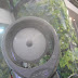 154907_231037_festa_da_uva_017.jpg