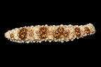 Holothuria pervicax. La Réunion.