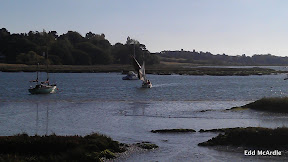 IMAG0082.jpg