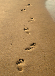 c0 Footprints in the sand.