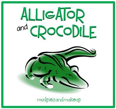 [AlligatorCrocodile%2520Box%255B6%255D.jpg]
