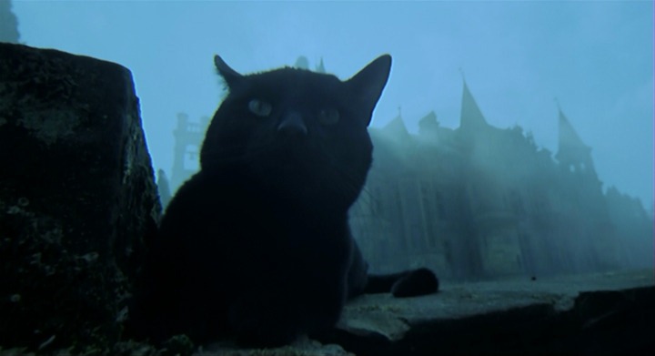 [The-Legend-of-Hell-House-Black-Cat-E%255B1%255D.jpg]
