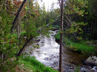 IMG_0481.JPG Photo