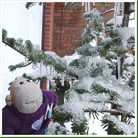 Icicles Icicles