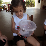 DSC07166.JPG