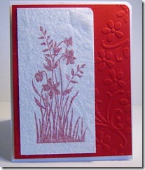 6-2-11 Linda - Dryer Sheet - Just Believe 6-2-11 Linda - Dryer Sheet - Just Believe