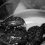 Shanghai - Pets market - Petites tortues