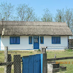 IMG_7223.JPG