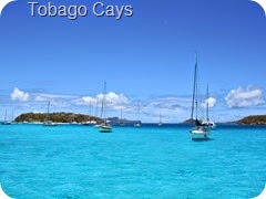 013 Tobago Cays 013 Tobago Cays