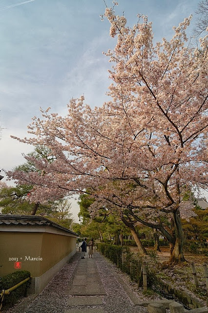 京都建仁寺