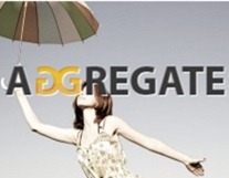 Aggregate wordpress theme review