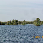 IMG_8002.JPG