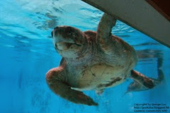 IMG_3079 IMG_3079