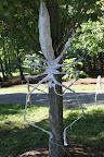 There's a giant spider on the tree he's tied to and it could be deadly!  We have to get G.K. out of there!