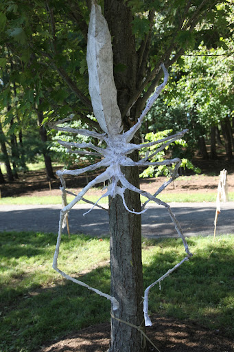 There's a giant spider on the tree he's tied to and it could be deadly!  We have to get G.K. out of there!