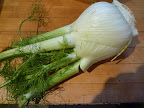 Fennel bulb.