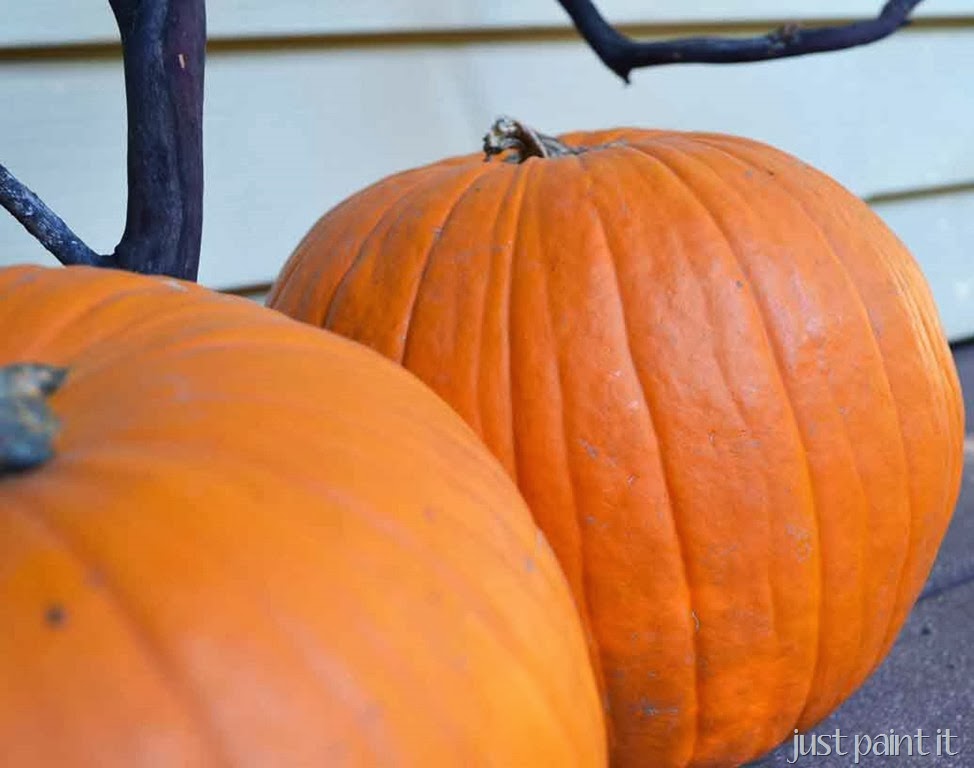 [Fall-Foliage-F%255B2%255D.jpg]