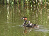 IMG_7869 IMG_7869