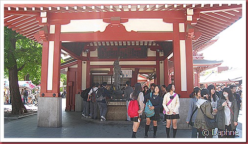 IMG_4046 IMG_4046