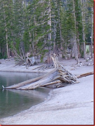 mammoth 134