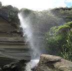 Tasman Shore