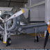 © Luís André Werlang | www.aviacao.art.br DSC06473.jpg