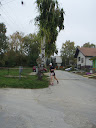 PA120564.JPG